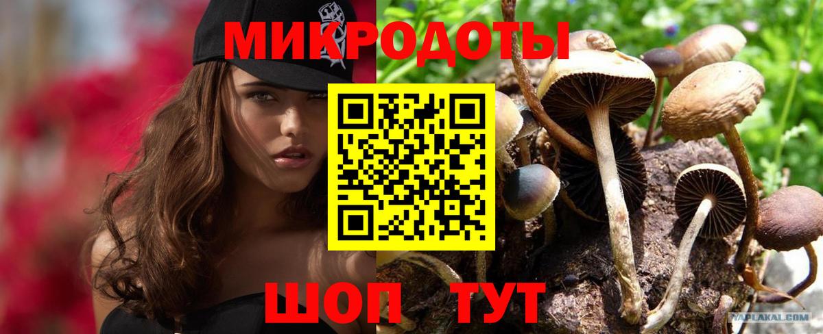Галлюциногенные грибы Psilocybine cubensis Воткинск